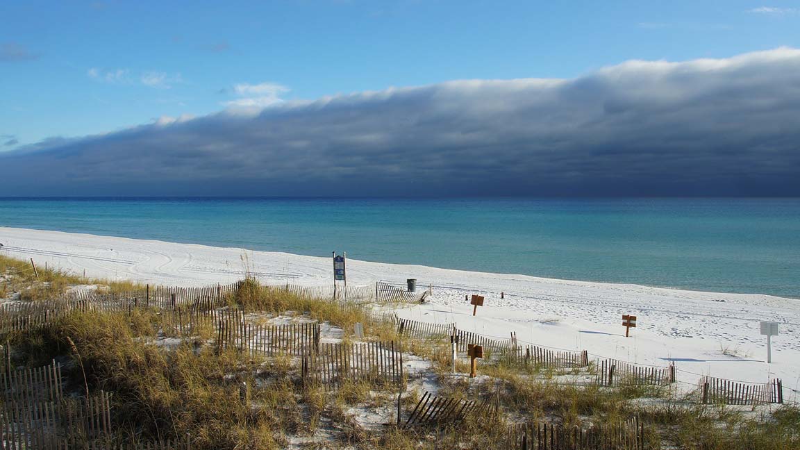 Locals on the Emerald Coast